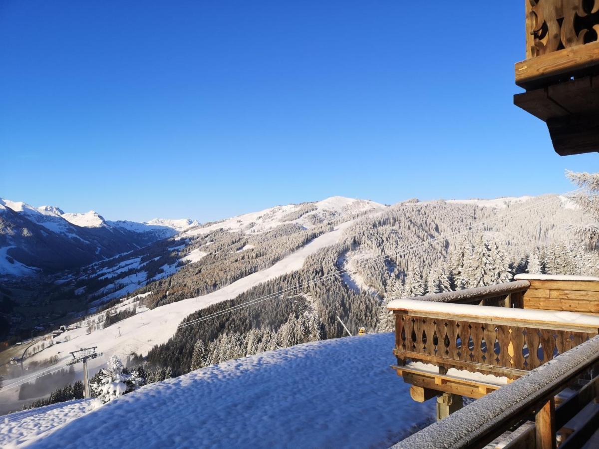 Sinnlehen Alm Saalbach-Hinterglemm Exterior photo