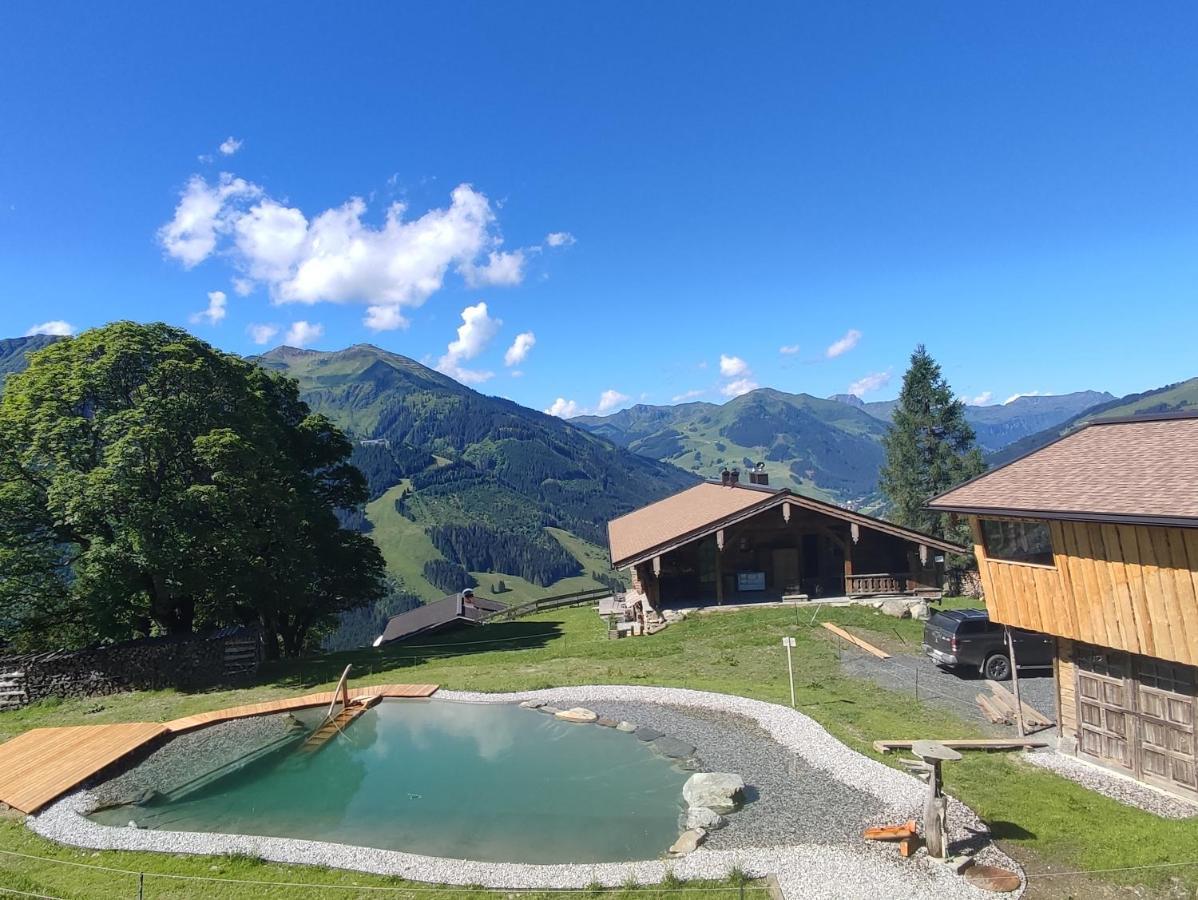 Sinnlehen Alm Saalbach-Hinterglemm Exterior photo